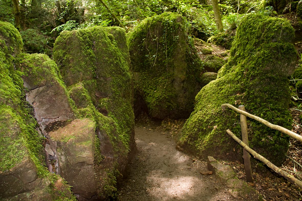 A bare-earth path with a rustic wooden handrail curves between huge moss-blanketed boulders in the green half-light of Puzzlewood.